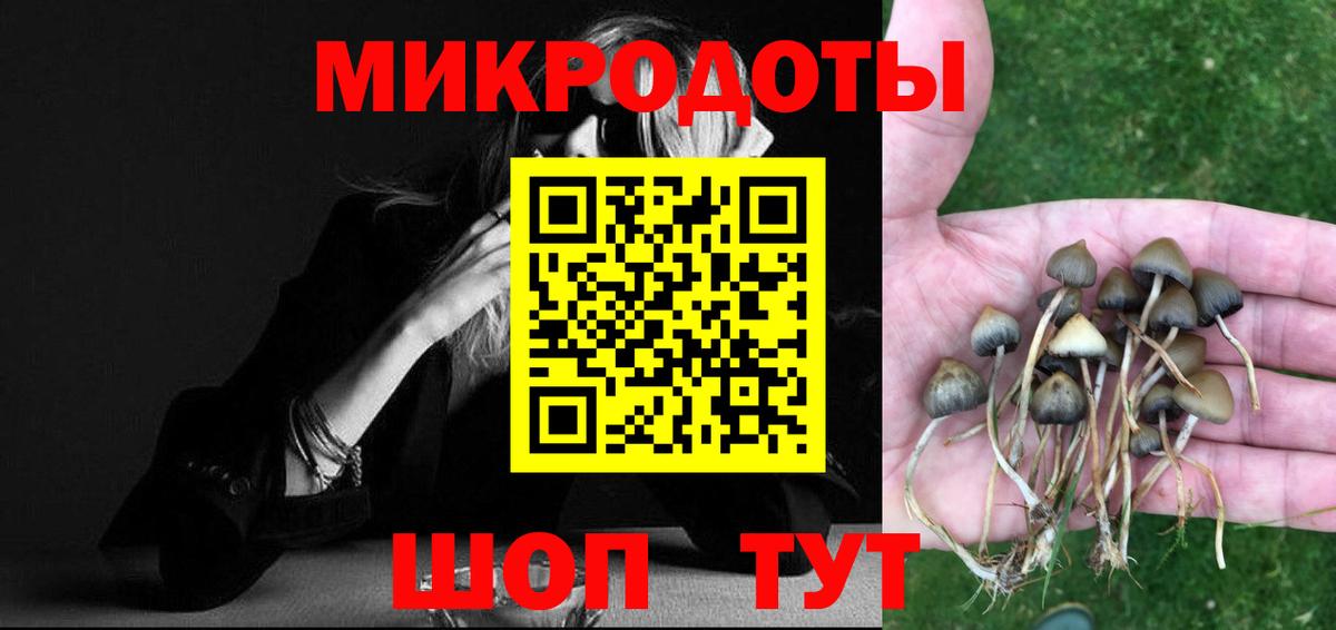 Южноуральск  Псилоцибиновые грибы прущие грибы  Псилоцибиновые грибы мухоморы  Вход с VPN 